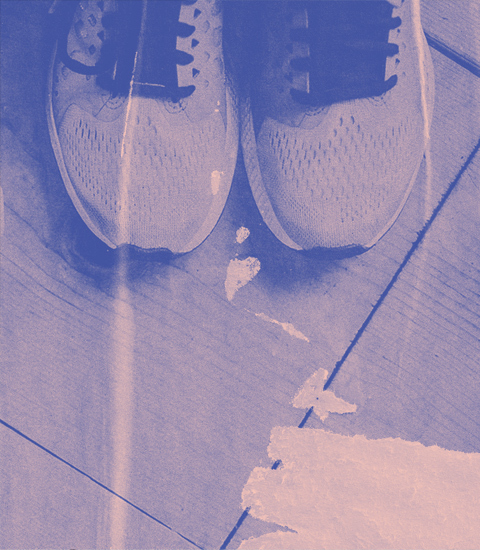 Gymnastique (Adultes)