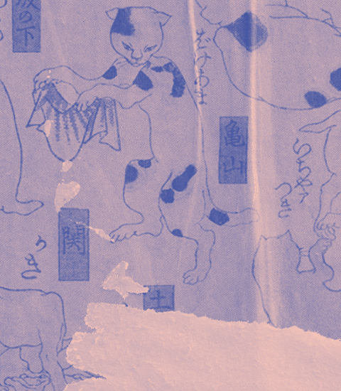 Langues (Enfants et ados)
