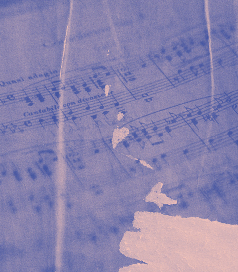 Formation musicale (Adultes)