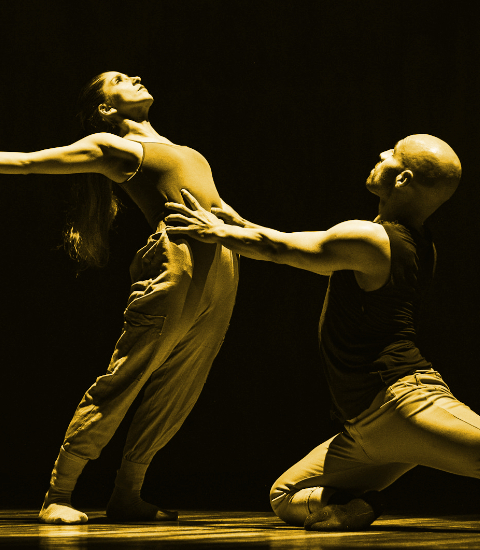 Danse Contemporaine et Improvisée