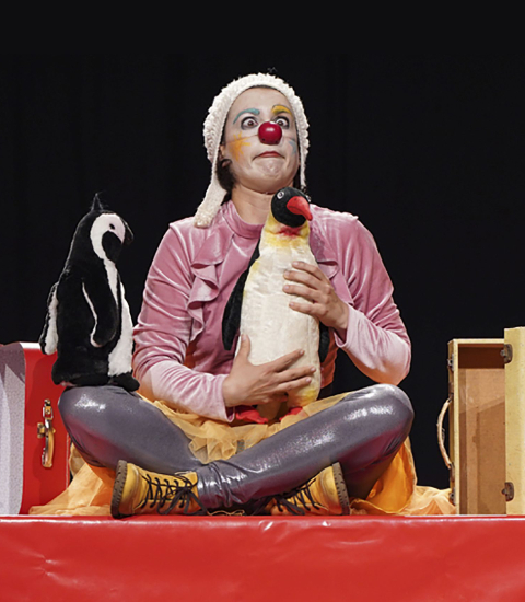 Stage de Clown adultes