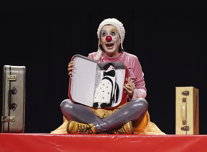 Stage de Clown adultes