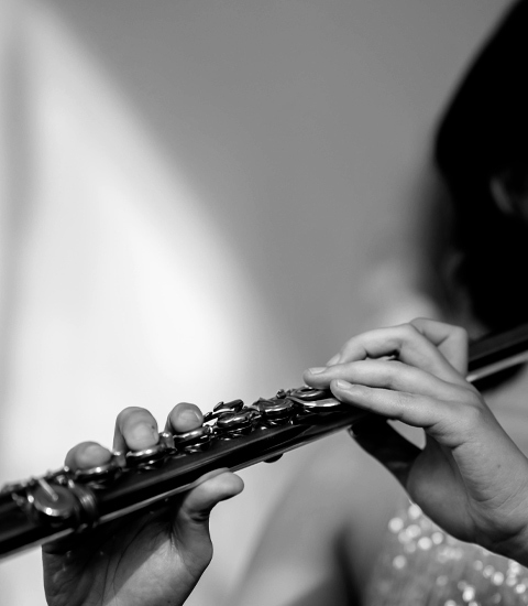 Flûte traversière (pratique instrumentale)