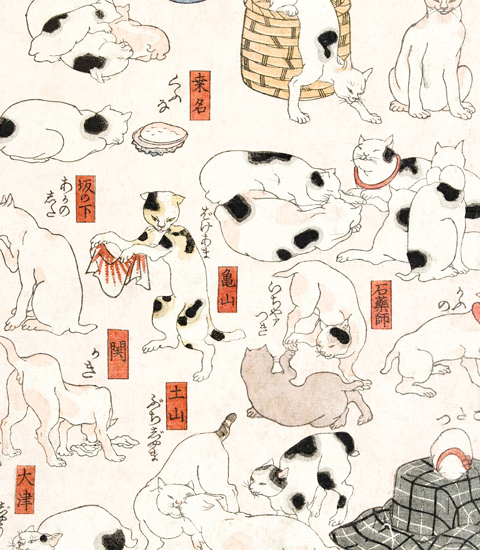 Japonais Ados